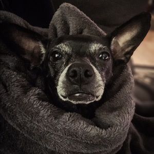 Meet your Posher, Susan